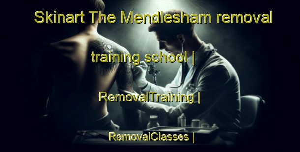 Skinart The Mendlesham removal training school | RemovalTraining | RemovalClasses | SkinartTraining-United Kingdom